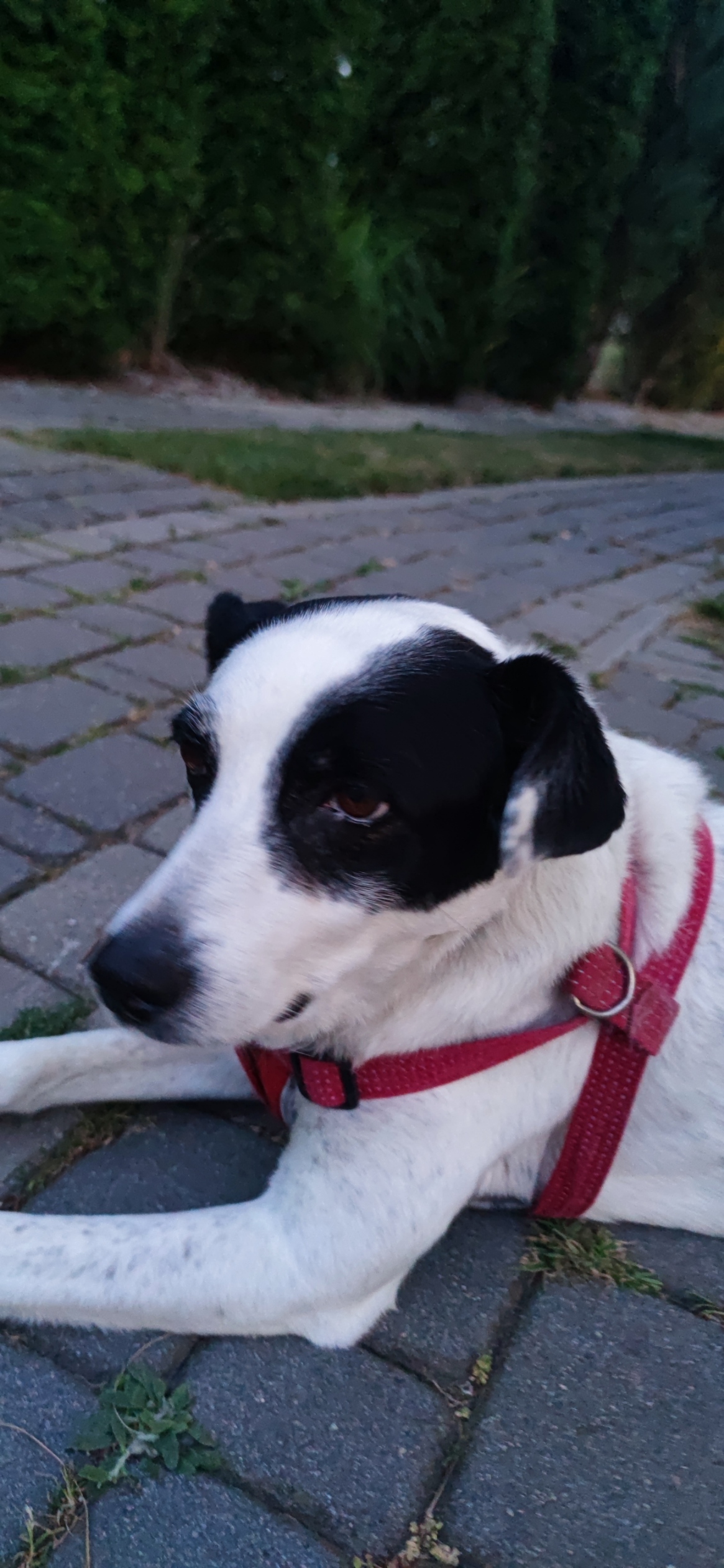 Mountain top covered in clouds